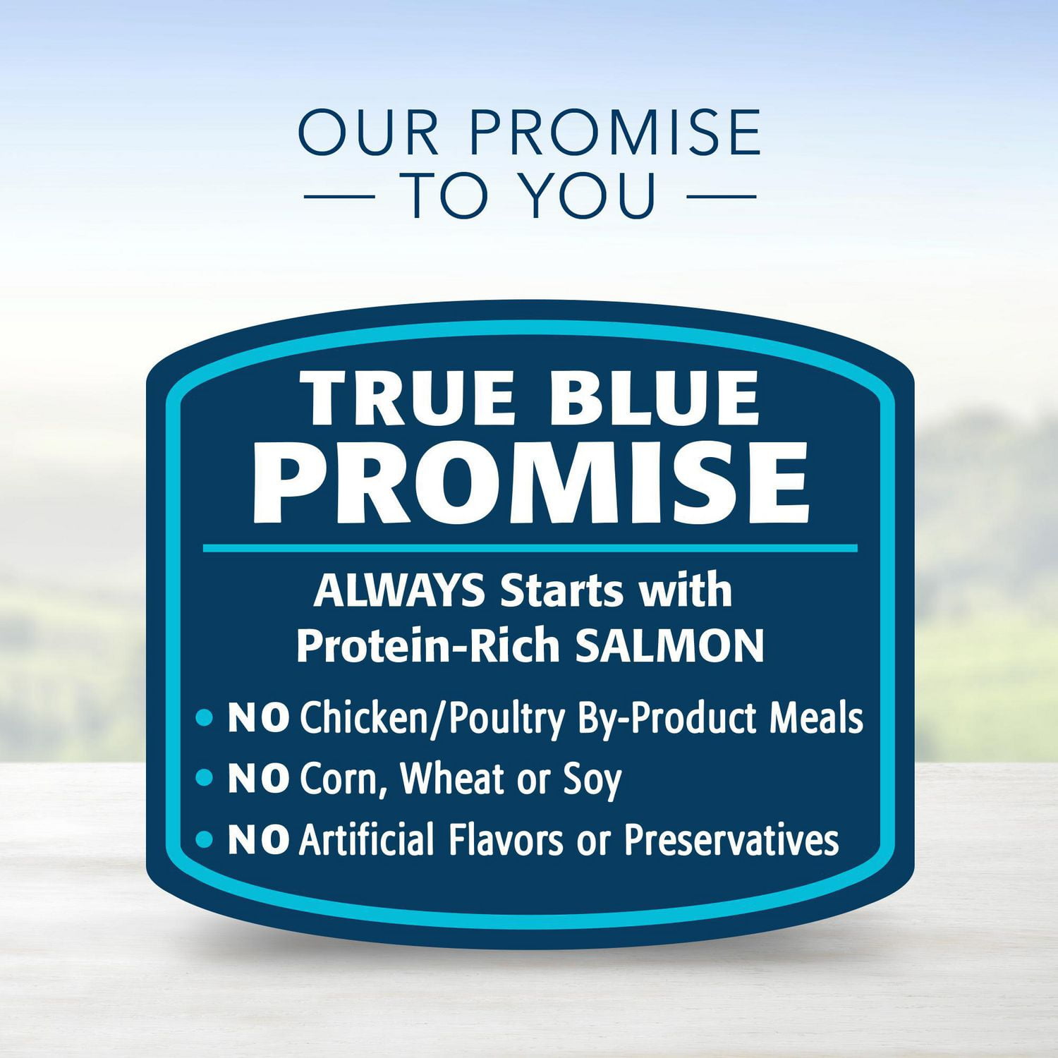 BLUE Healthy Gourmet Pat Indoor Salmon Entr e Wet Cat Food