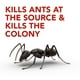 Insecticide Raid Appâts à fourmis Double action, tue la reine et la colonie, pour utilisation à l’intérieur, à l’épreuve des enfants, 4 unités Paq. de 4 – image 3 sur 9