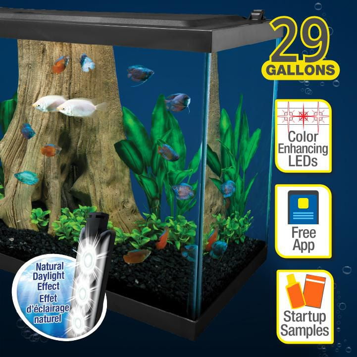 Tetra 55 Gallon Aquarium Kit with Fish Tank, Fish Net, Fish Food, Filter,  Heater and Water Conditioners 