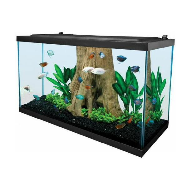 Tetra 55 Gallon Aquarium Kit with Fish Tank, Fish Net, Fish Food