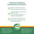 thumbnail image 4 of Jamieson comprimés a croquer probiotique enfants, 5 milliards UFC, cerise, 60 comprimés, 4 of 9