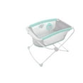 thumbnail image 1 of Fisher-Price Deluxe Portable Bassinet, 1 of 9