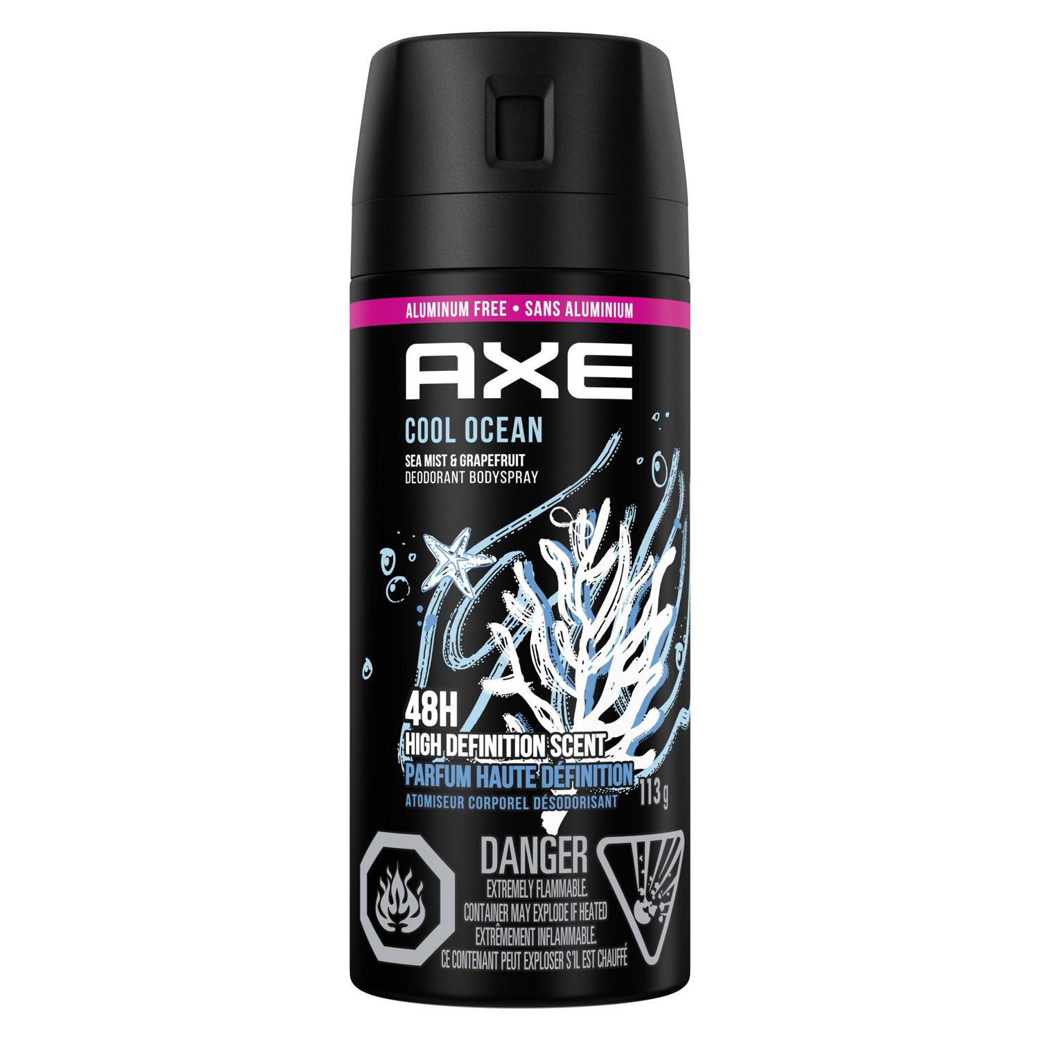 AXE Cool Ocean Deodorant Body Spray, 113 g Deodorant Body Spray