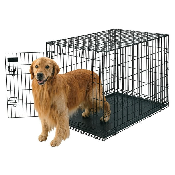 Très grande cage pour chiens Doskocil de Petmate en fil métallique de 42 po