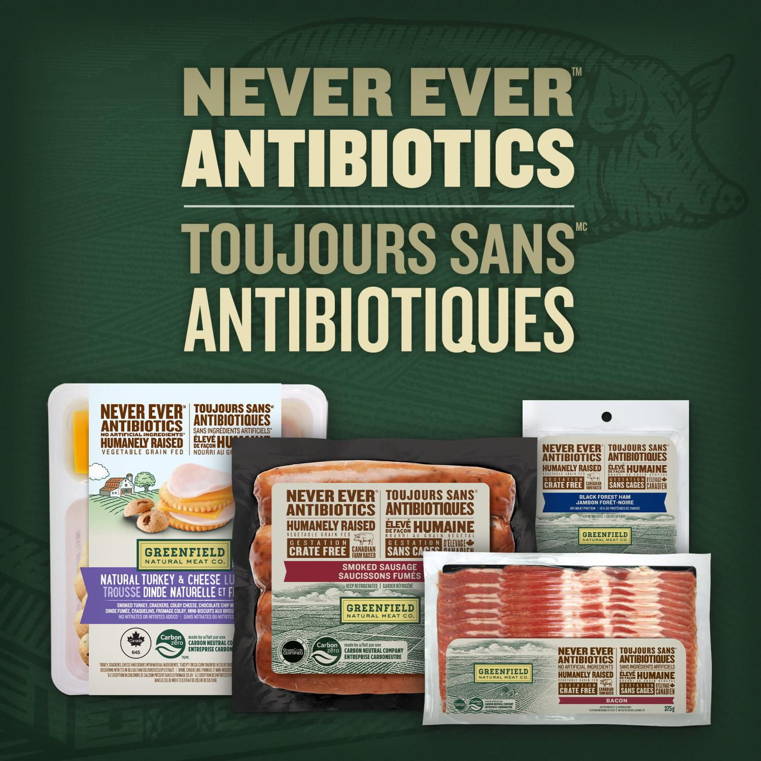 Greenfield Natural Meat Co Natural Turkey & Cheese Lunch Kit, 81 g