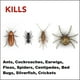 Insecticide Raid contre les fourmis, les coquerelles, les perce-oreilles et les insectes rampants, tue les insectes au contact, pour utilisation à l’intérieur et à l’extérieur 350 g – image 3 sur 9