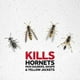Insecticide Raid contre les guêpes et les frelons, tue les insectes au contact, pour utilisation à l’extérieur, 400 g KFC3516 – image 4 sur 9