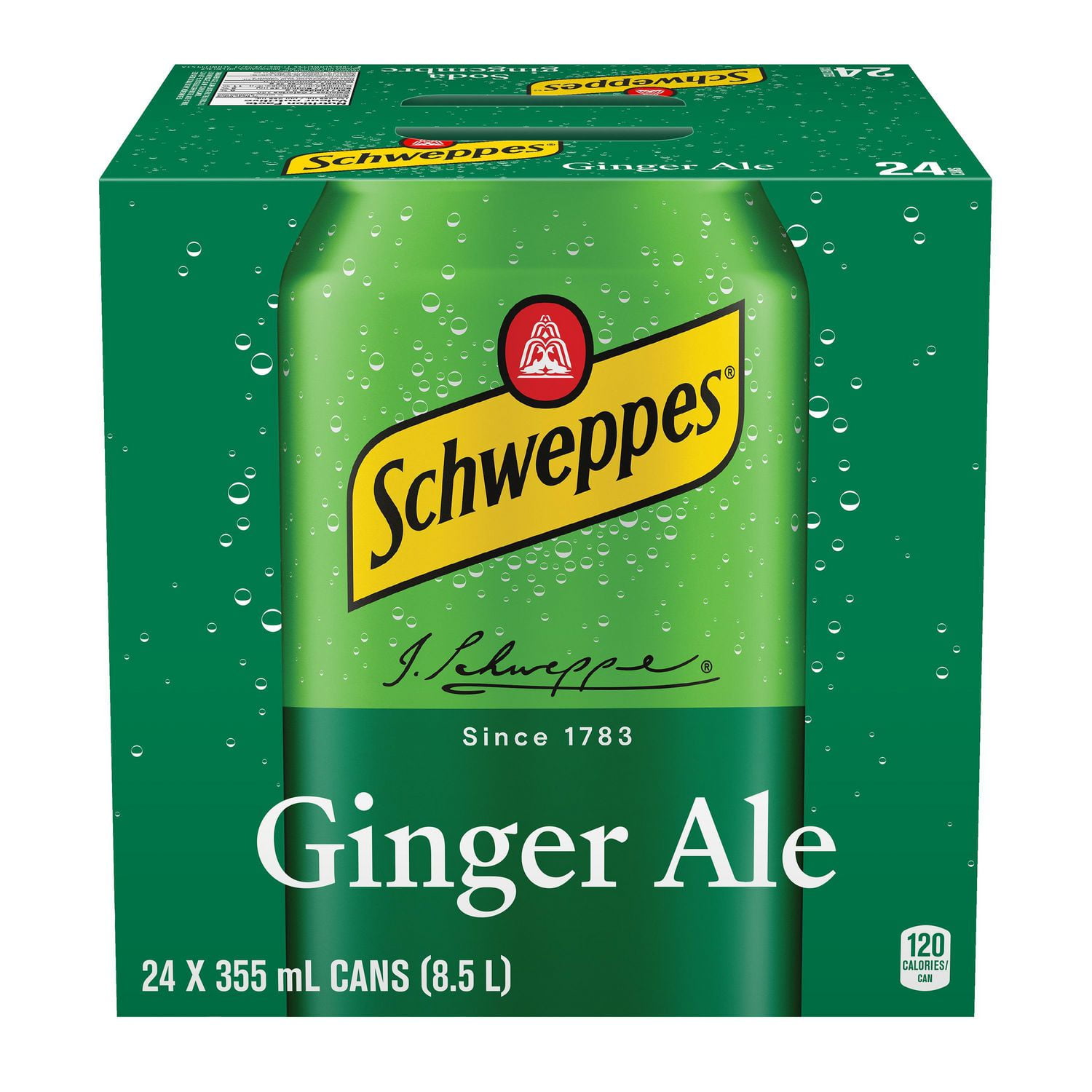 Schweppes Ginger Ale Cube | Walmart Canada