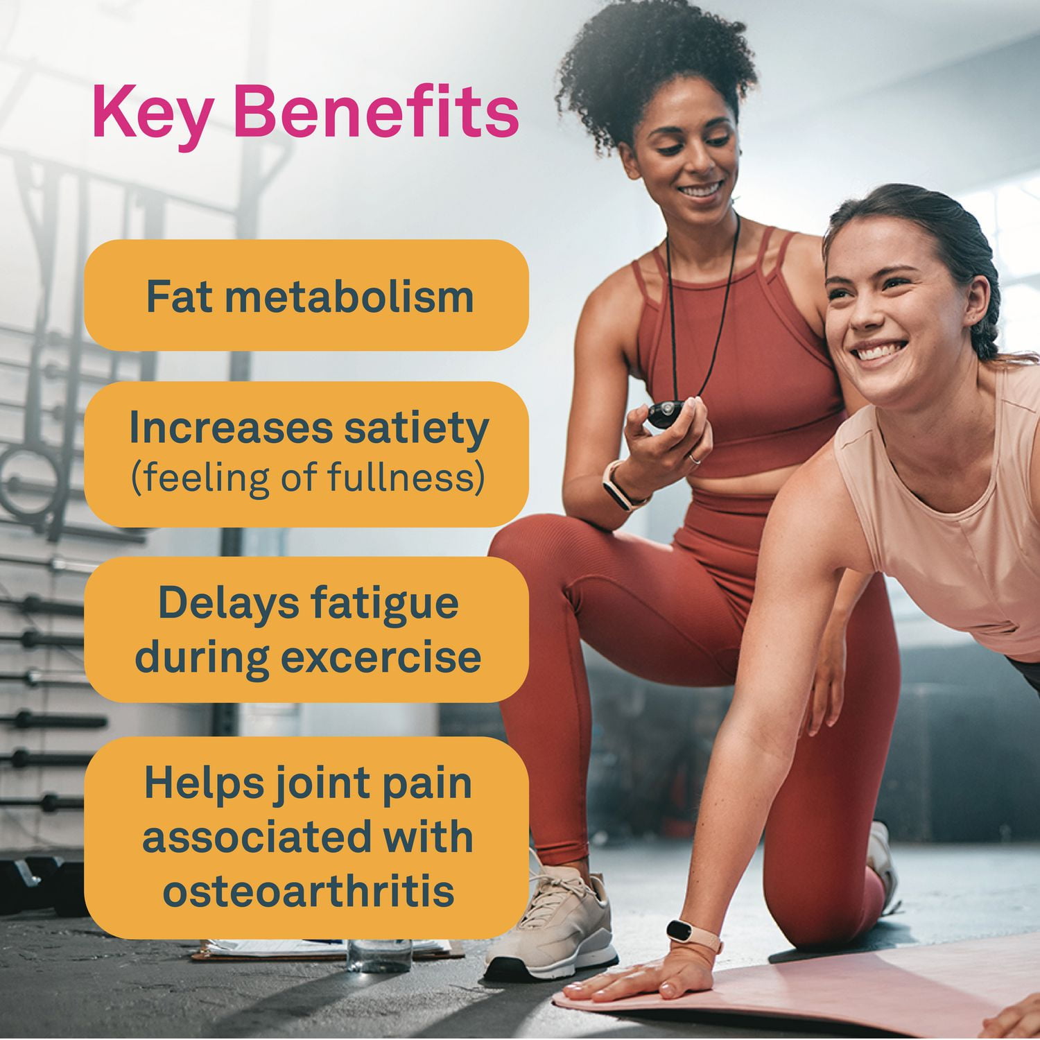 Organika Metaboost Multi-Collagen Powder 275g, Brun fat with collagen, L-Carnitine & Garcinia