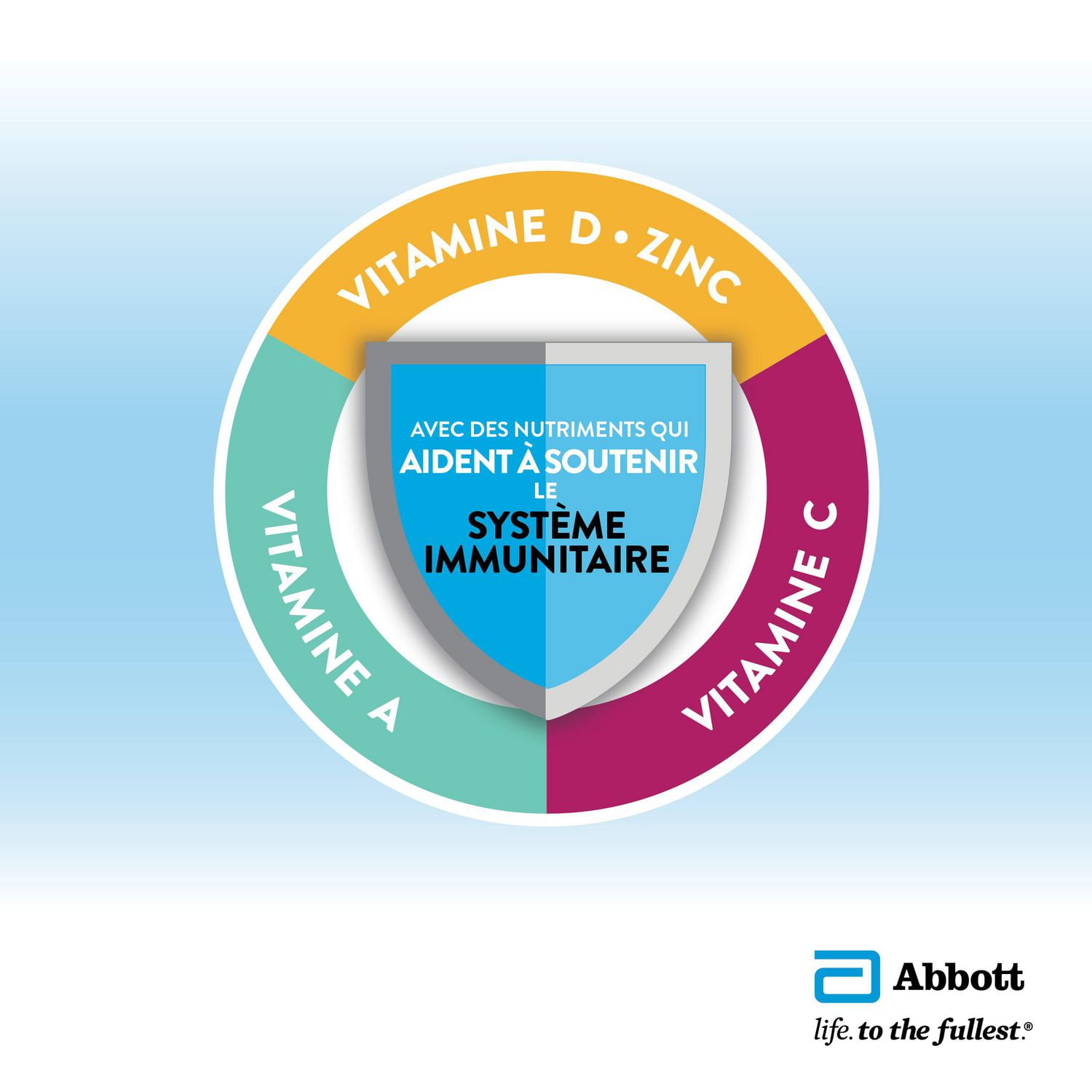 Ensure Régulier, Supplément Nutritionnel, Alimentation Pour Rester Actif Et Plein d'Énergie, Pacanes au Beurre, 6 Bouteilles De 235 mL 6 x 235 mL (emballage de 6)