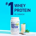 thumbnail image 4 of LEANFIT WHEY PROTEIN™ Vanilla 832g - 100% Whey Protein Powder, 25g Protein Per Serving, Grass-Fed, Gluten-Free, BCAAs, Complete Amino Acid Profile, 4 of 10