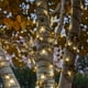 Guirlande lumineuse solaire Hometrends 100 points blanc chaud – image 1 sur 1