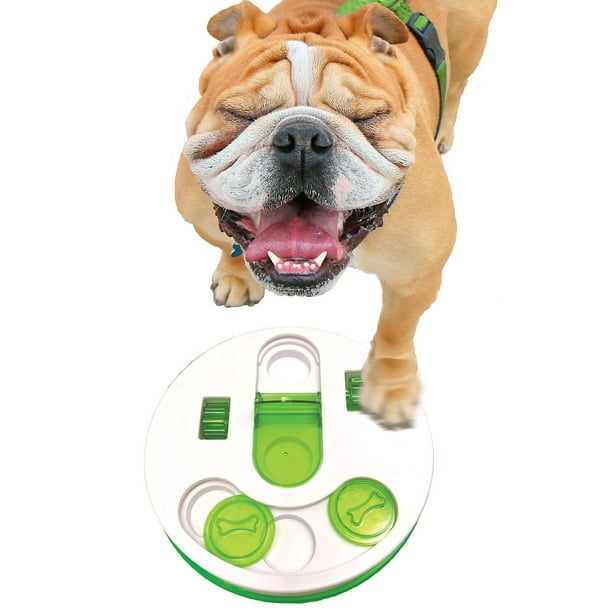 Spot Seek-A-Treat Flip 'N Slide Connector Puzzle Interactive Dog Treat and  Toy Puzzle 1 count Pack of 3