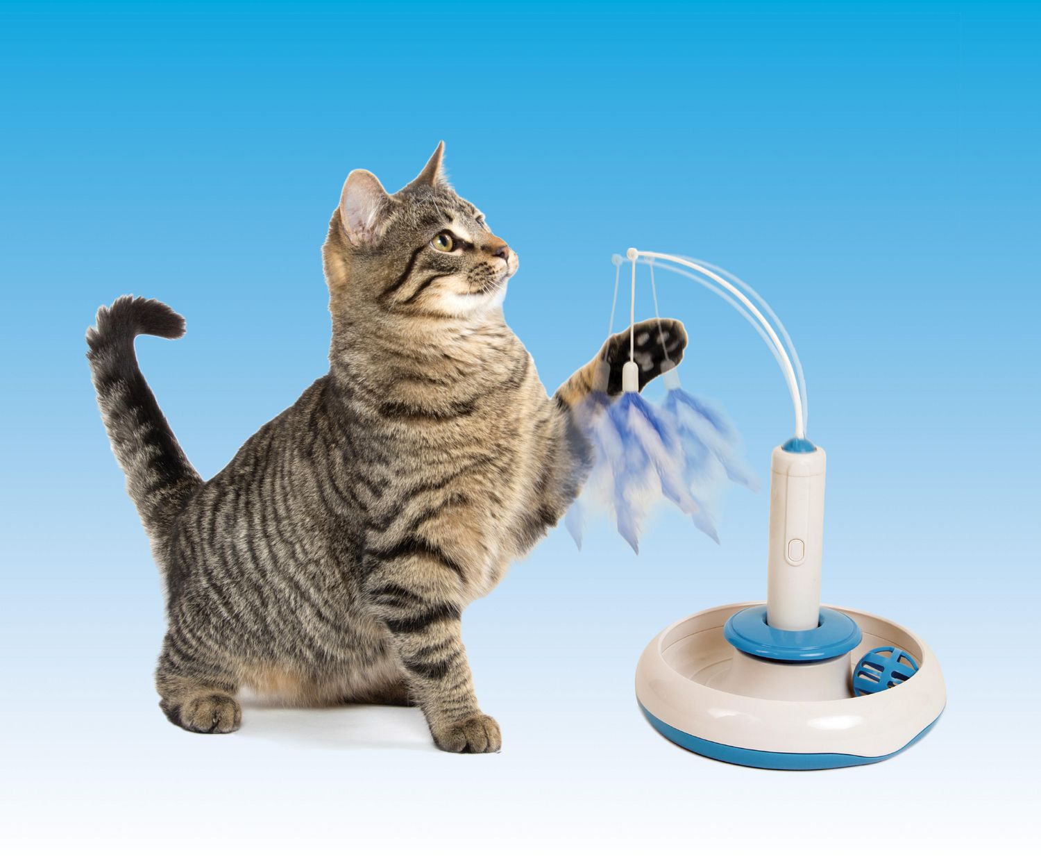 Spot, jouet à l'herbe à chat pour chat poisson interactif