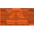 thumbnail image 3 of Flintstones plus Immunity Support Multivitamin Gummies, 3 of 5