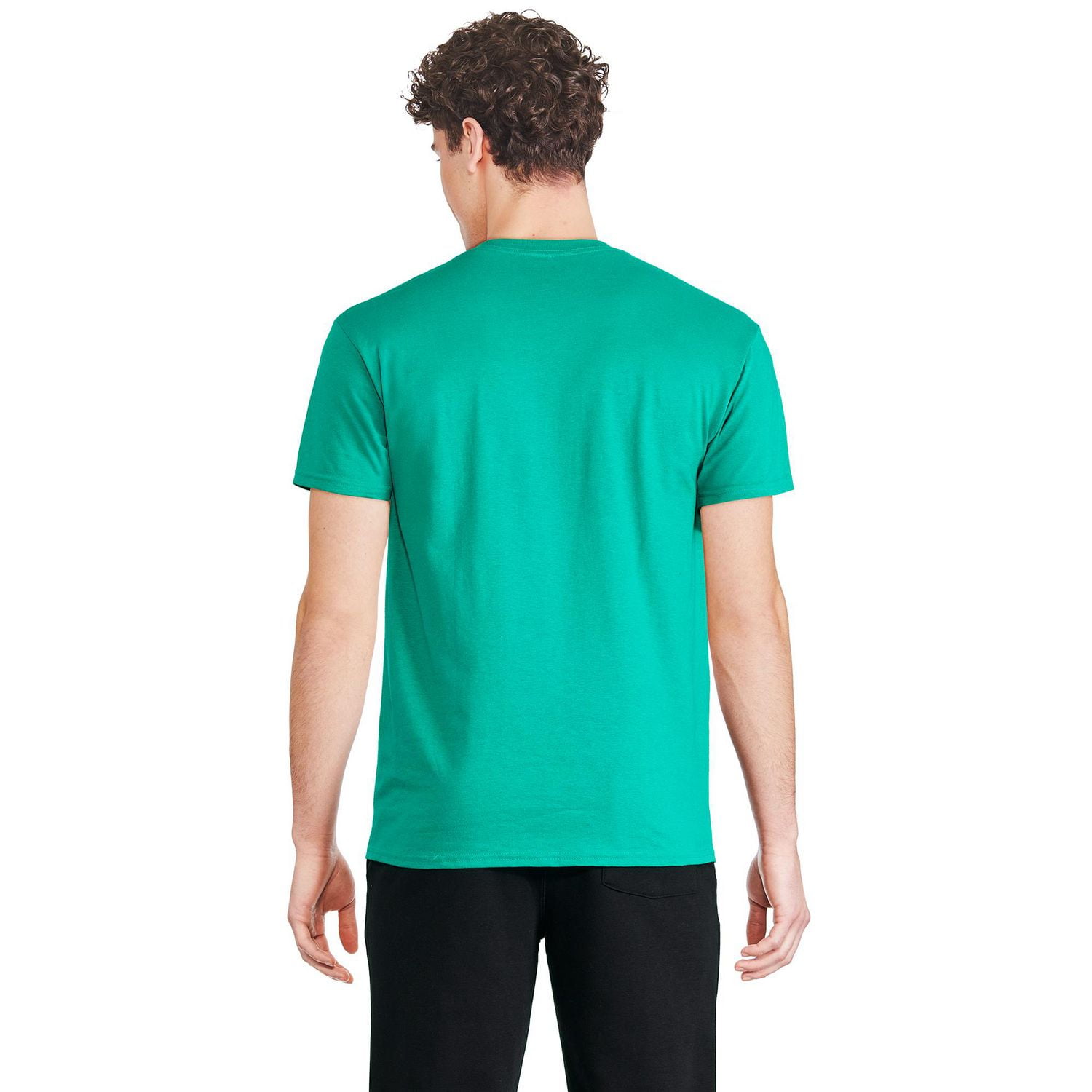 T-shirt à manches courtes Shrek pour hommes Tailles P-TG