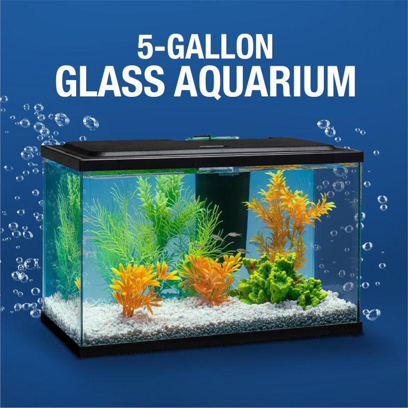 5 Gallon Fish Tank Glass Aquarium Starter Kit LED Lighting Hood Tetra Filte...