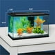Kit d'aquarium à DEL Tetra, avec hotte à éclairage DEL, filtre et conditionneur 5 gallons – image 5 sur 7