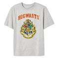 thumbnail image 3 of T-shirt à manches courtes Harry Potter pour garçons, 3 of 3