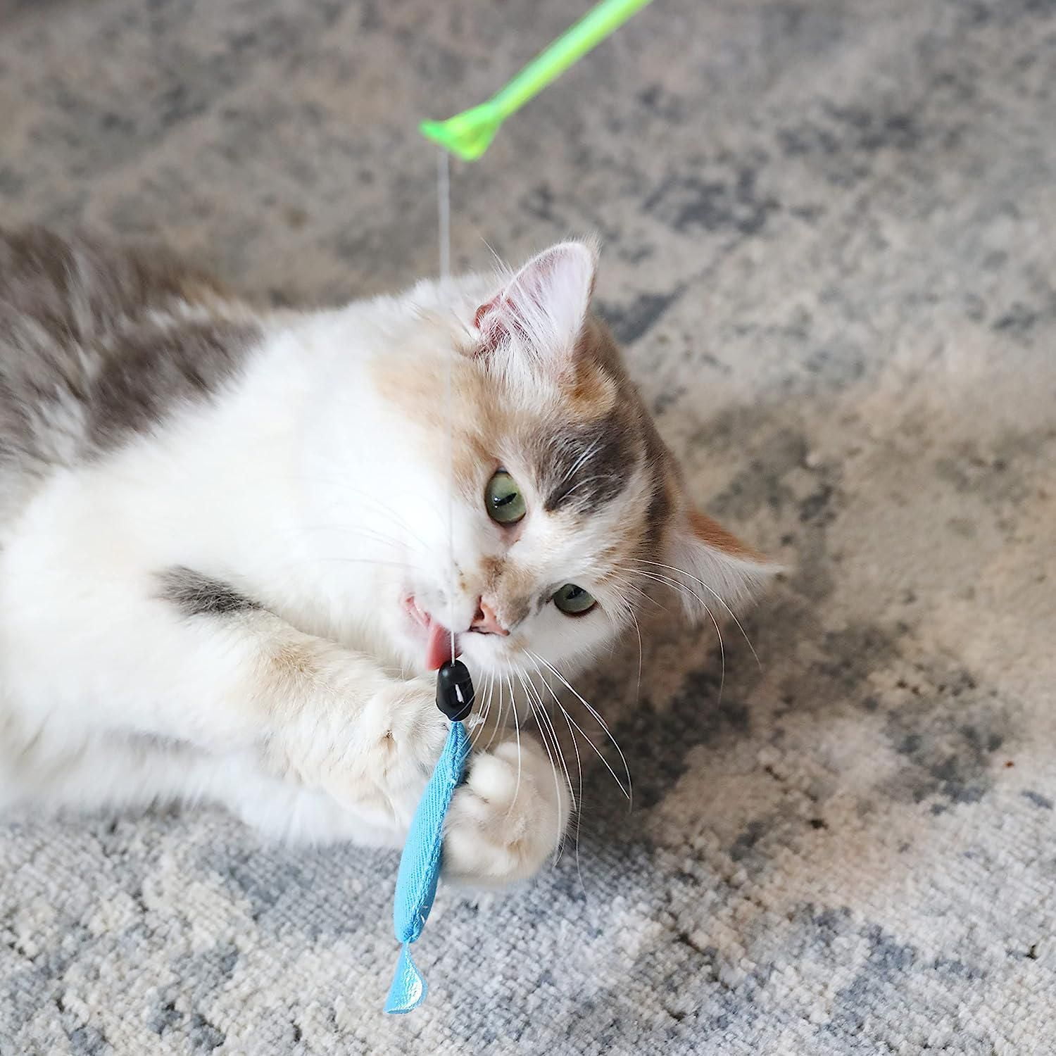 Cat Toy Retractable Cat Toy Fishing Pole with Reel Pet Toy Funny  Interactive Toy Gift Item Cat Toy Fishing Rod Pole Floppy Kitten Fishing  Teaser for