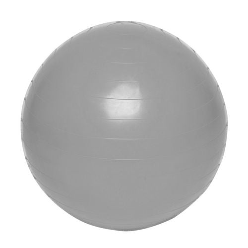 Bally cheap exercise ball