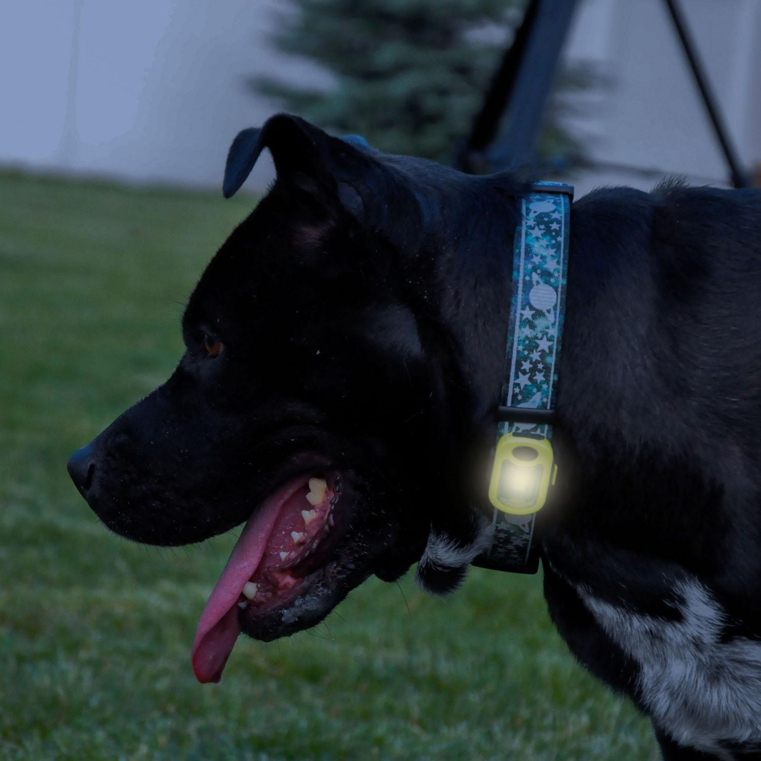 Rechargeable Blinker Light Dog Tag Dog Collar Accessory For Night Walking Dog Collar Light