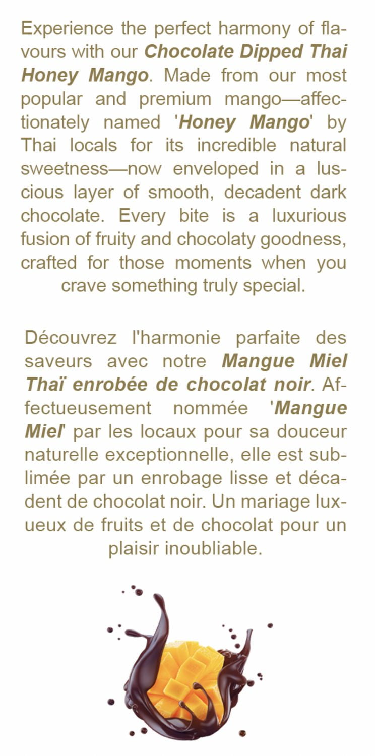 Mangue au Chocolat 40g – H&H Santé & Bonheur Mangue Sèche au Chocolat