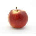 thumbnail image 1 of Apple, Macintosh, Sold in singles, 0.13 - 0.18 KG, 1 of 1