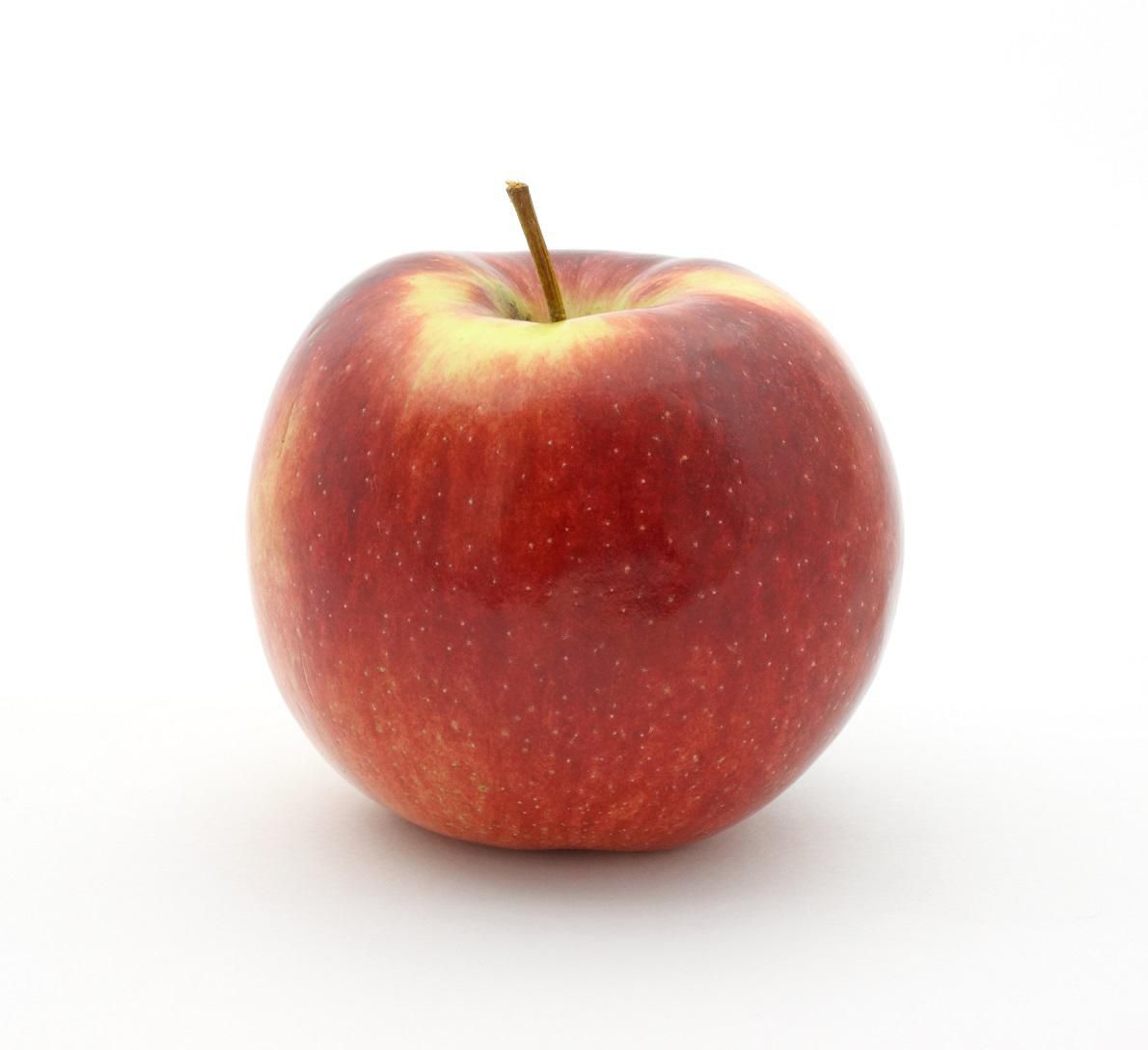 Apple, Macintosh, Vendu à l'Unité, 0,13 - 0,18 kg une Pomme Macintosh Entière Centrée avec une silhouette Ronde et une Peau Lisse, Remarquée pour Être Nette, Juteuse et Sucrée et une Excellente Pomme à Grignoter. Souvent Utilisée Tranchée dans des Boîtes à Lunch Ou des Salades de Fruits.