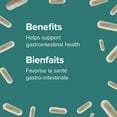 thumbnail image 3 of Webber Naturals Probiotique + prébiotique 10 milliards, 3 of 7