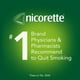 Inhalateur Nicorette, 4 mg, Aide pour cesser de fumer et Aide de renoncement au tabac, 42 cartouches 42 cartouches – image 5 sur 9