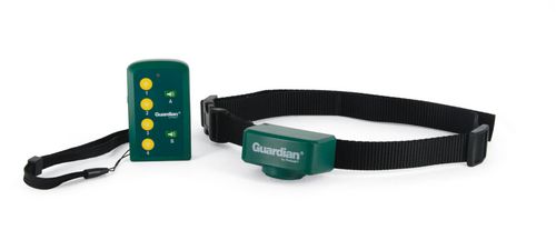 Guardian dog shop training collar