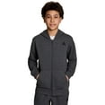 thumbnail image 1 of Reebok sweat à capuche zippé  game day pour garçon, 1 of 6