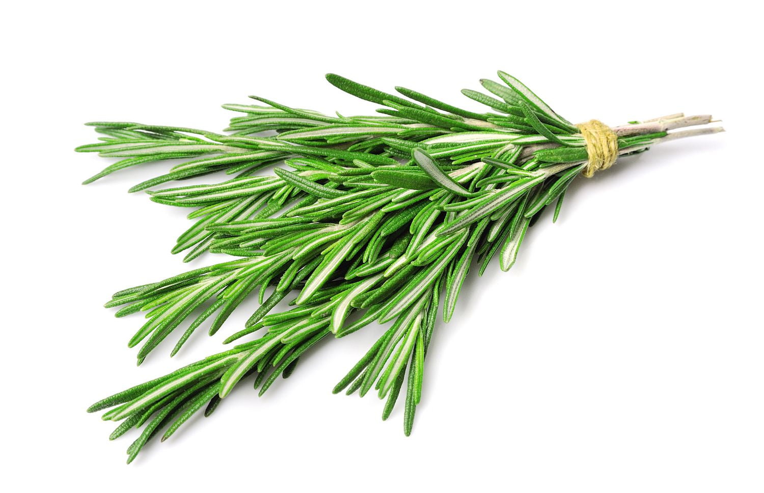 Rosemary, Fresh Walmart Canada