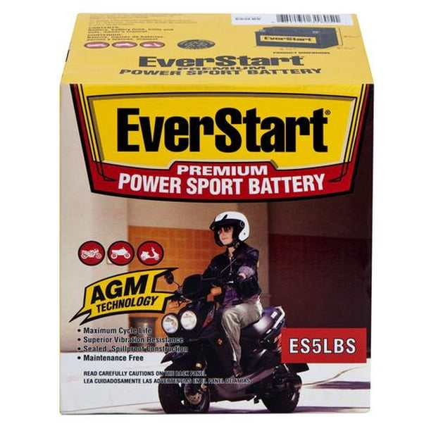 Batterie EverStart ES5LBS