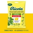 thumbnail image 2 of Ricola Lemon Mint No Sugar Added Throat Drops, 2 of 8