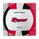 Ballon de Volleyball de Regent Ballon de Volleyball – image 1 sur 1