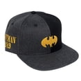 thumbnail image 2 of Warner Bros Batman Cap- Flat Brim, 2 of 7