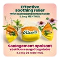 thumbnail image 4 of Ricola Honey Lemon Echinacea Cough Drops, 4 of 10