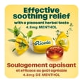 thumbnail image 4 of Ricola Original Herb No Sugar Added Cough Drops, 4 of 10