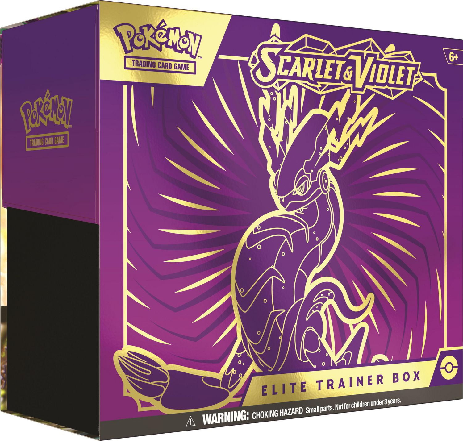 Iron Bundle (066) (Pokemon Center Exclusive) [Scarlet & Violet: Black Star  Promos]