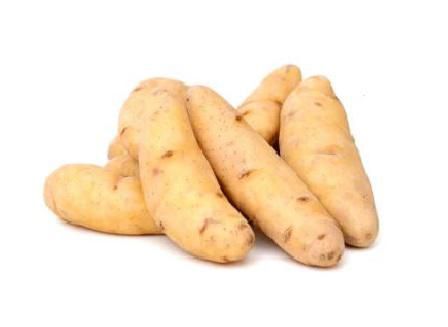 YFM Fingerling Potato, 1.5lb front-facing cluster of small elongated fingerling potatoes with thin skin and light-brown tones on a plain background; product freshness guarantee is stated in the product specs; often used roasted or served as a small potato side.