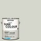 Rust-Oleum Sure Colour™ Peinture + Apprêt, Intérieur Coquille d'oeuf, Vert Bouleau 3,78L 3,78L – image 1 sur 6