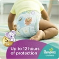 thumbnail image 3 of Couches Pampers Cruisers, taille 7, 3 of 4