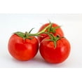 thumbnail image 1 of Tomato, 3lt Basket, 1 of 1