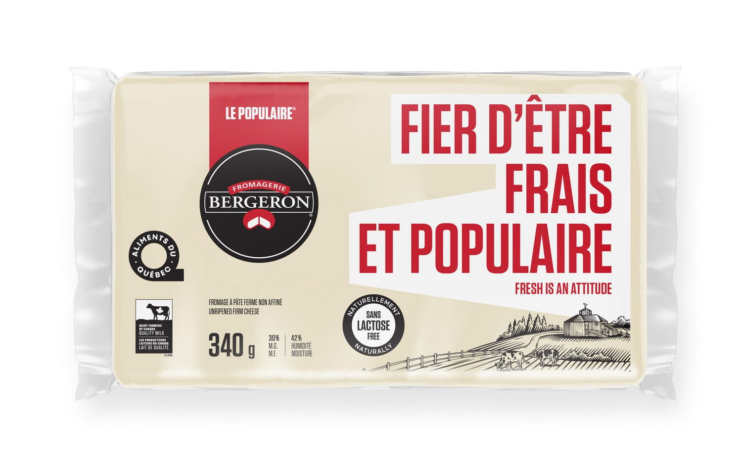 Bergeron Fresh Gouda Cheese Bloc Walmart Canada