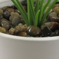 thumbnail image 3 of hometrends Apulia Faux Potted Plant, 3 of 4