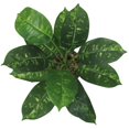 thumbnail image 4 of hometrends Apulia Faux Potted Plant, 4 of 4