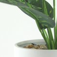 thumbnail image 2 of hometrends Apulia Faux Potted Plant, 2 of 4