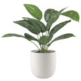 thumbnail image 1 of hometrends Apulia Faux Potted Plant, 1 of 4